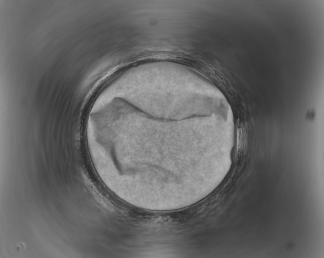 X0000115730243200912101458