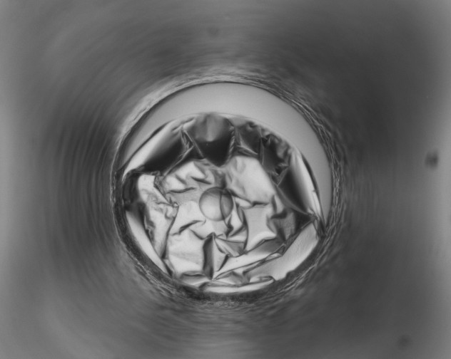 X0000115730244200912101458