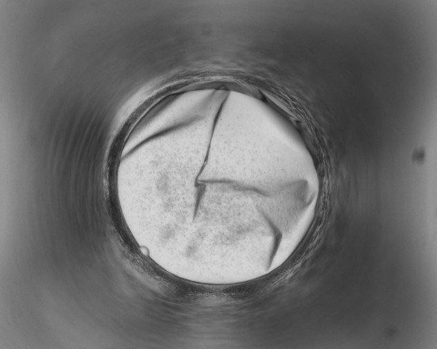 X0000115730246200912101458