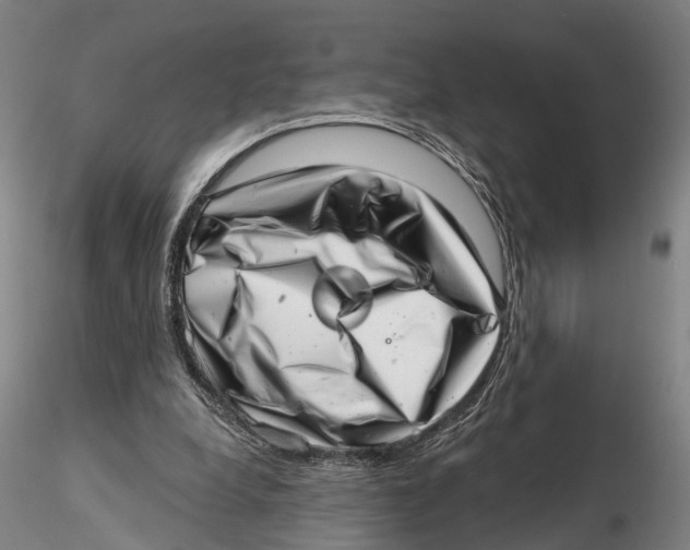 X0000115730248200912101459