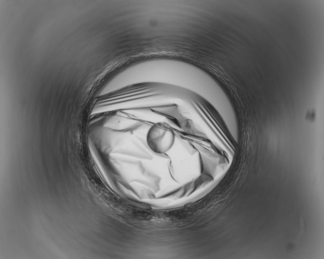 X0000115730256200912101459