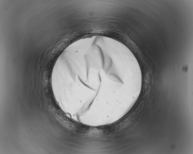 X0000115730257200912101459