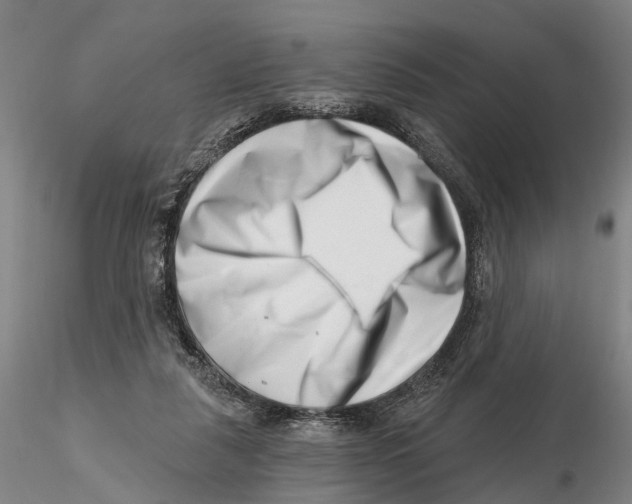 X0000115730259200912101459