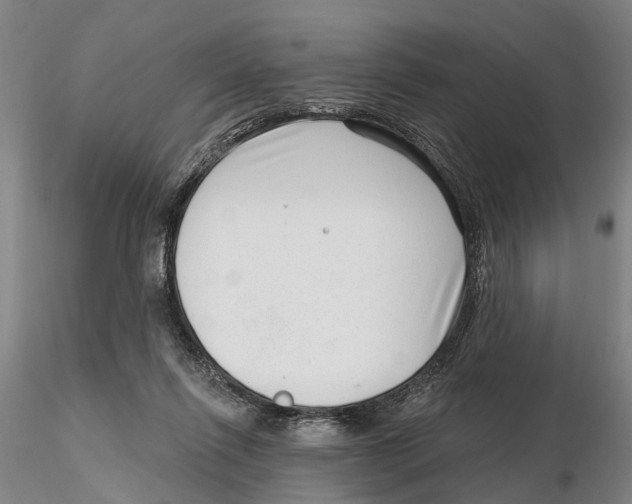 X0000115730262200912101459