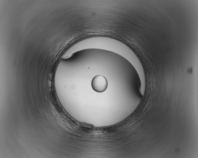 X0000115730264200912101459