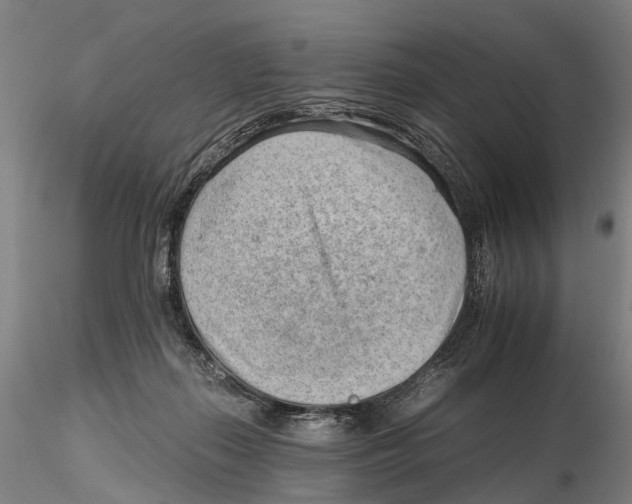 X0000115730267200912101459