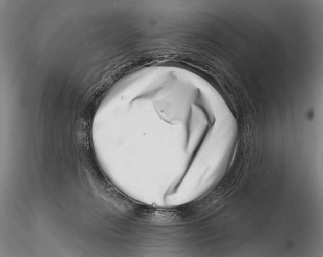 X0000115730270200912101459