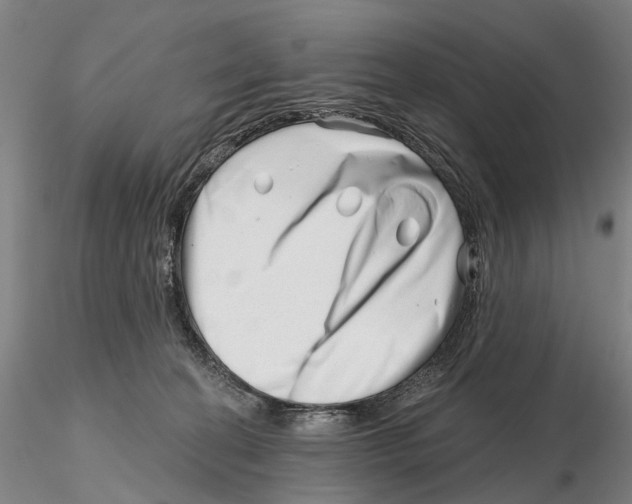 X0000115730274200912101459