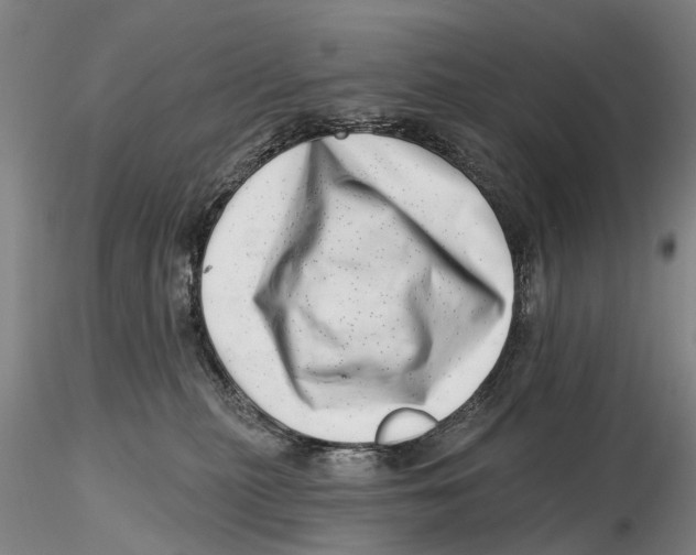 X0000115730279200912101459