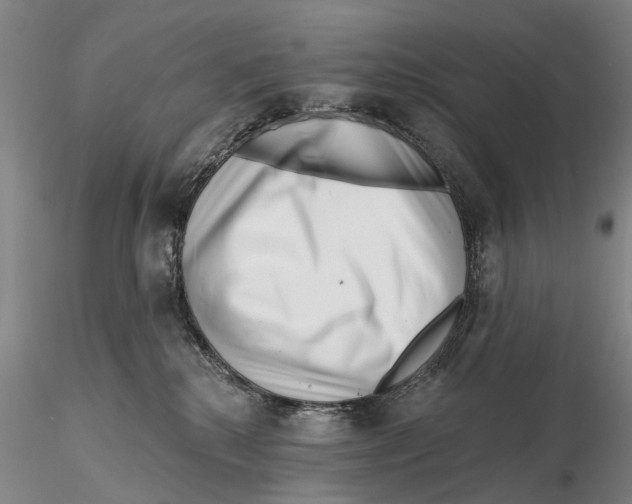 X0000115730280200912101459
