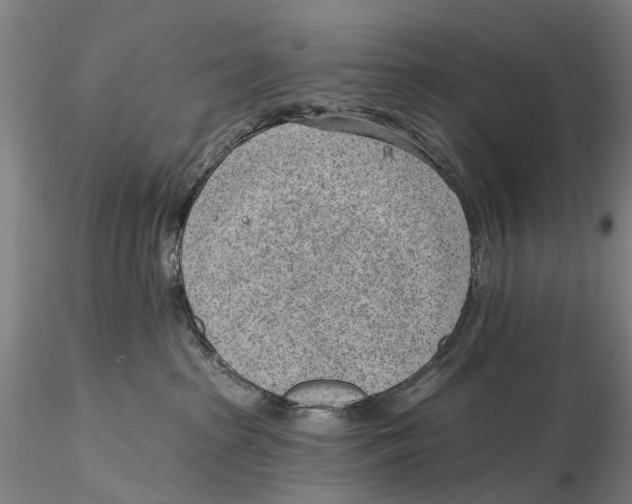 X0000115730285200912101459