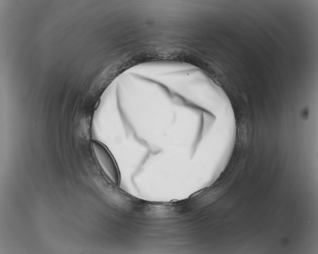 X0000115730286200912101459