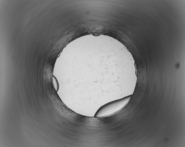 X0000115730287200912101459