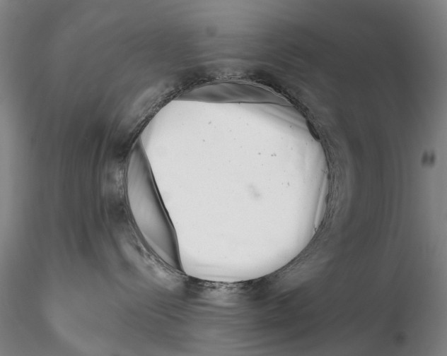 X0000115730288200912101459