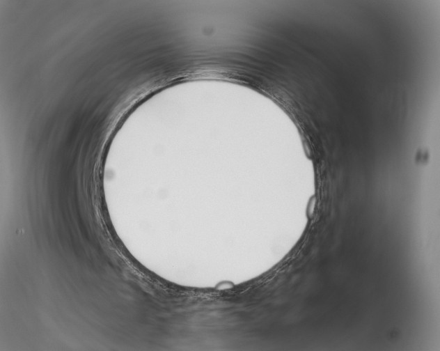 X0000115730289200912101458