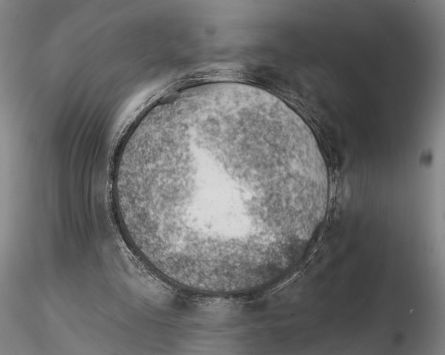 X0000115730293200912101458