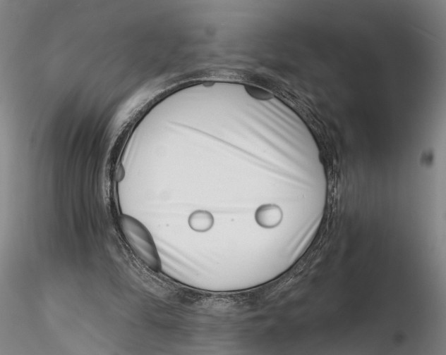X0000115730294200912101458