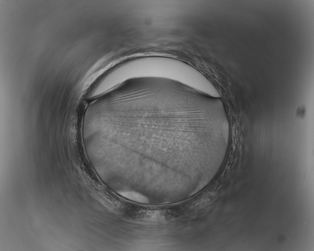 X0000115730295200912101458