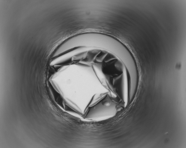 X0000115730297200912101458