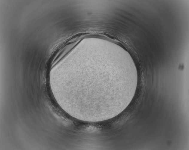 X0000115730303200912101458
