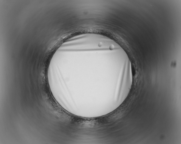 X0000115730306200912101458