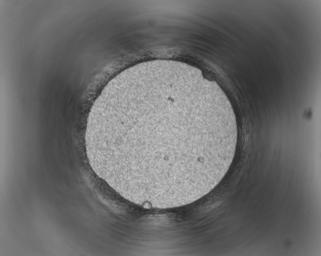 X0000115730307200912101458