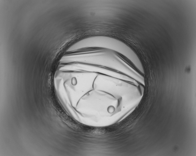 X0000115730308200912101458