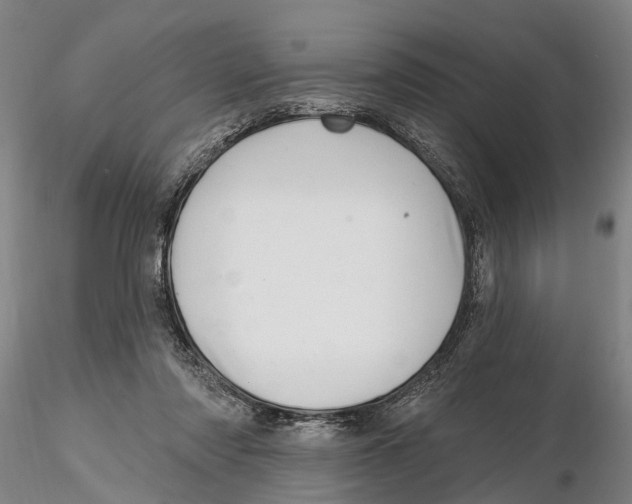 X0000115730310200912101458