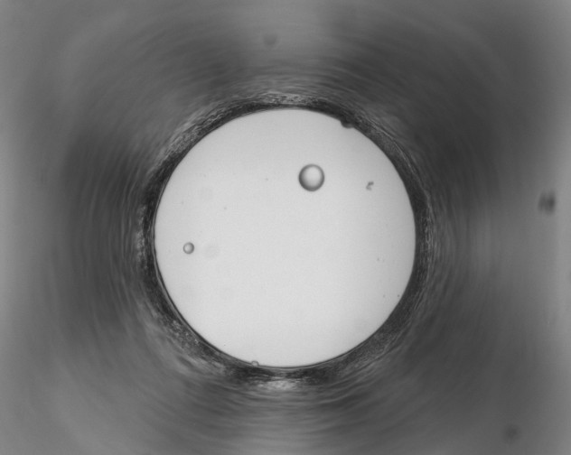 X0000115730312200912101458
