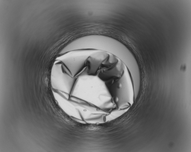 X0000115730313200912101458