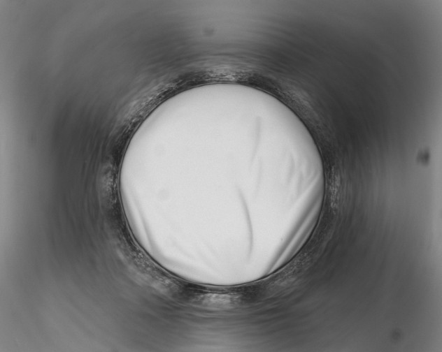 X0000115730314200912101458