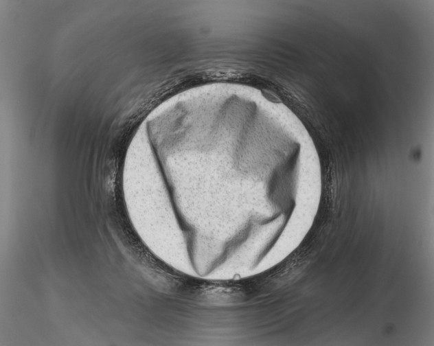 X0000115730315200912101458