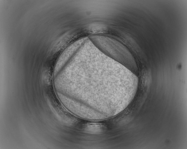 X0000115730316200912101458