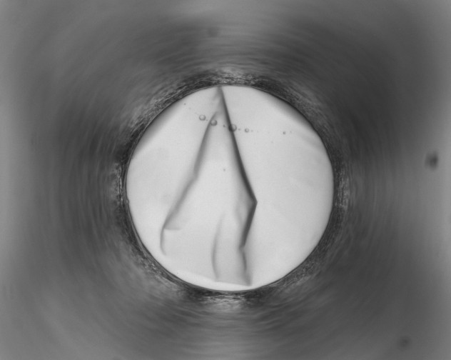X0000115730318200912101458