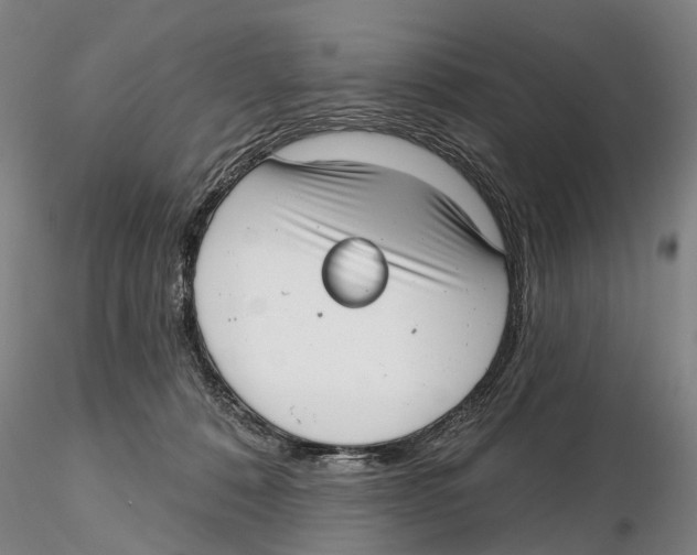 X0000115730320200912101458
