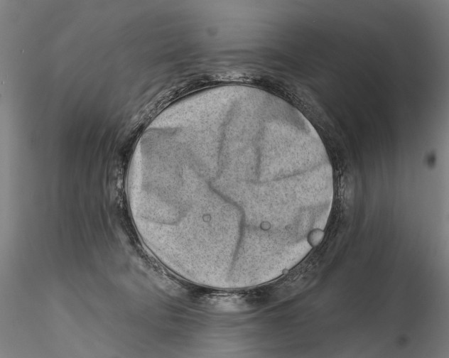 X0000115730322200912101458
