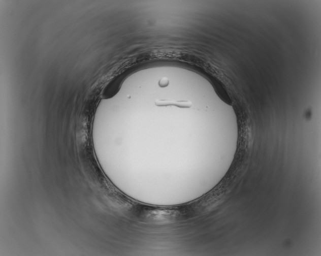 X0000115730323200912101458