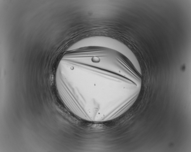 X0000115730324200912101458