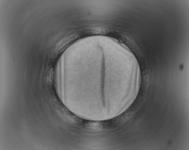 X0000115730325200912101458