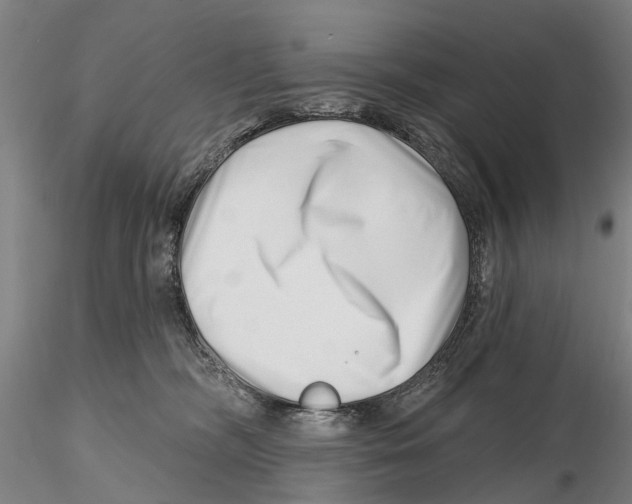 X0000115730326200912101458
