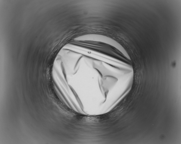 X0000115730327200912101458