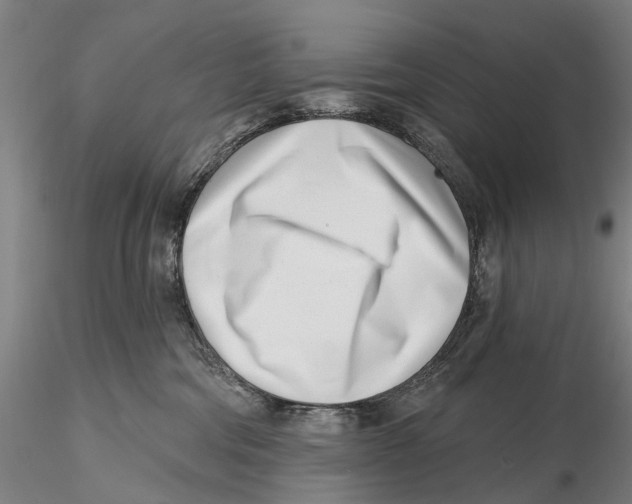 X0000115730330200912101458