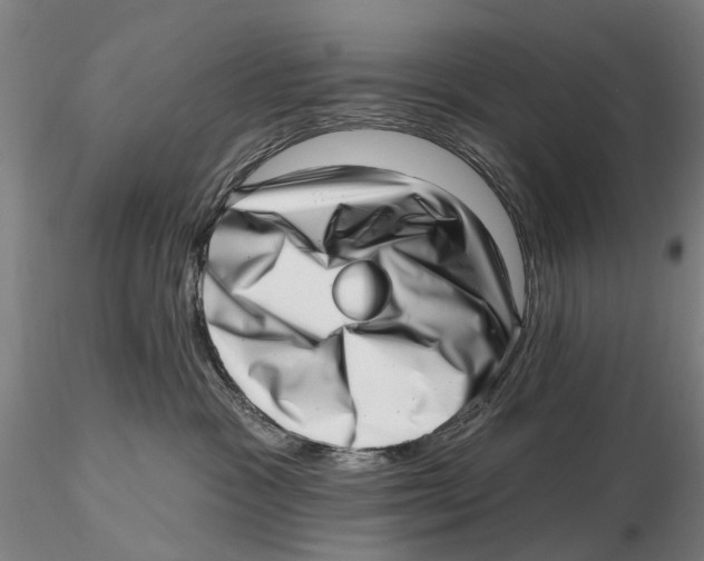 X0000115730333200912101458