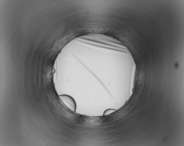 X0000115730334200912101458