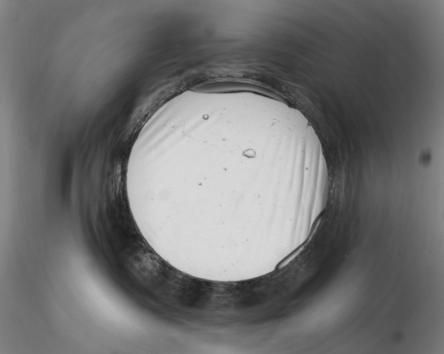 X0000115730335200912101458