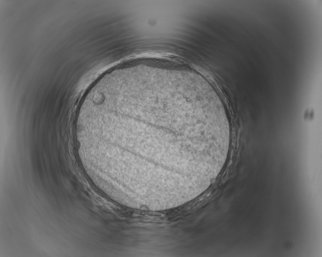 X0000115730337200912101457