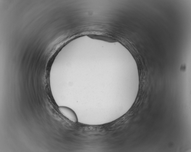 X0000115730338200912101457