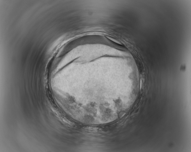 X0000115730339200912101457