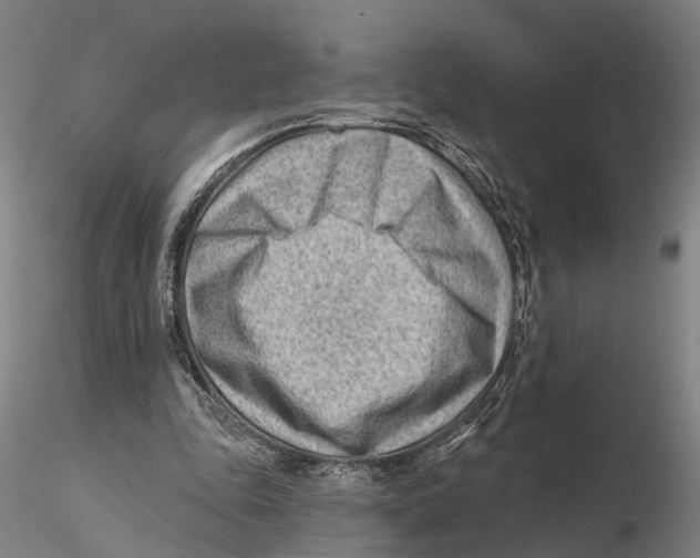 X0000115730343200912101457
