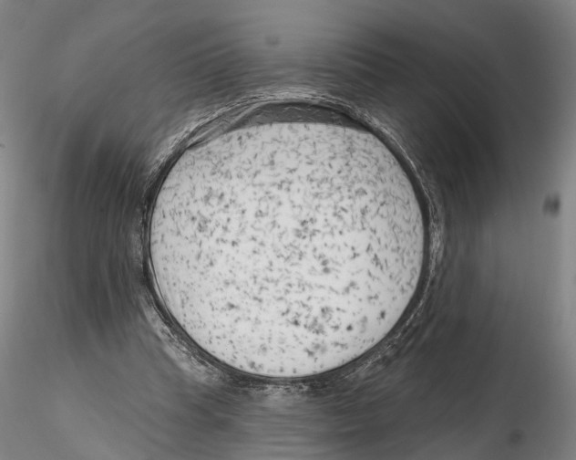 X0000115730345200912101457